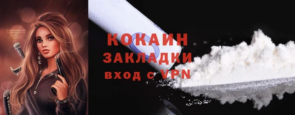 молекула духа Няндома