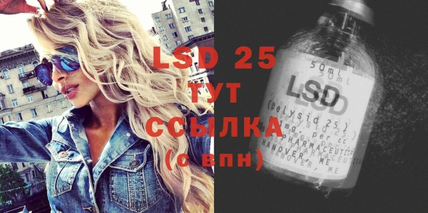 молекула духа Няндома