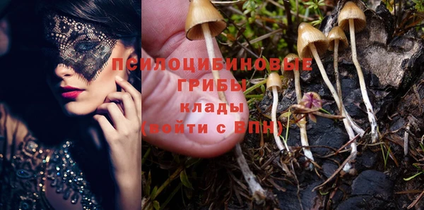 молекула духа Няндома