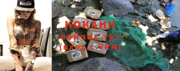 молекула духа Няндома