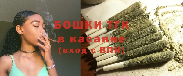 молекула духа Няндома