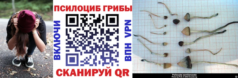 Галлюциногенные грибы ЛСД мега онион Отрадное